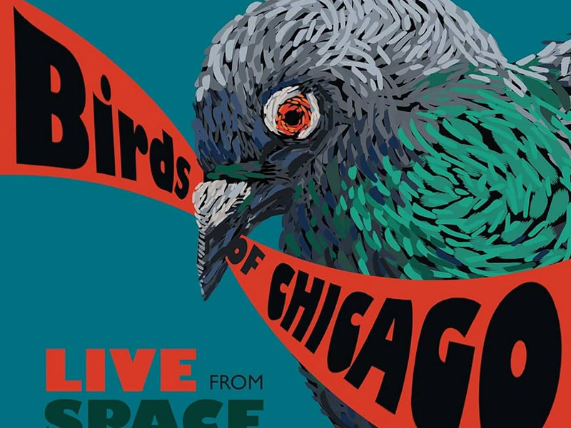 Live From Space (Evanston, Illinois / June 28, 2013)