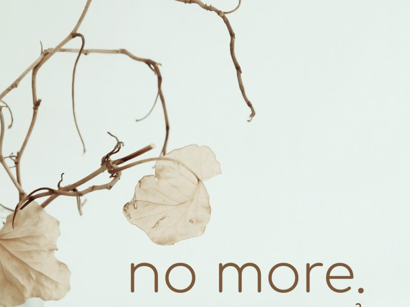 No More (Single)