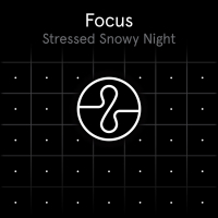 Focus: Stressed Snowy Night