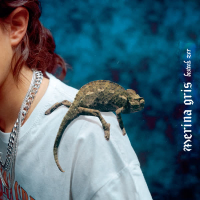 Besteek Zer (Single)