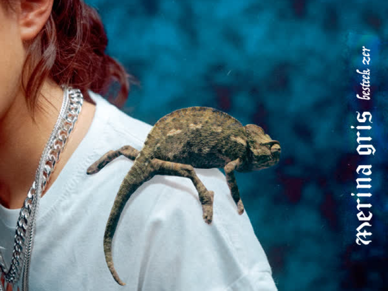 Besteek Zer (Single)