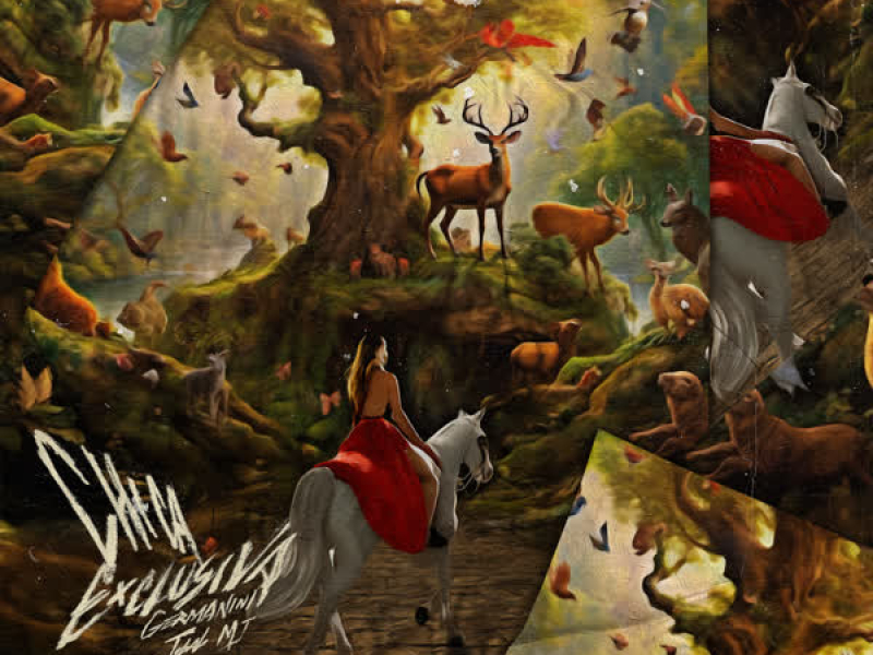 Chica Exclusiva (Single)