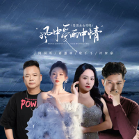 风中爱雨中情 (男男女女对唱) (Single)