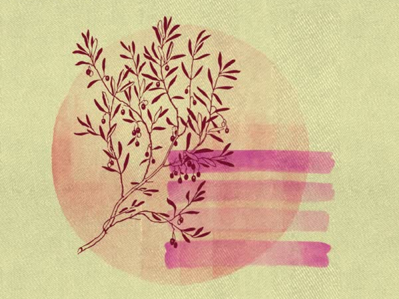 Journey Within (Single)