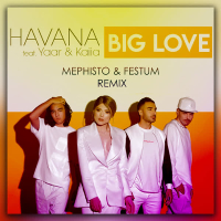 Big Love (DJ Mephisto & Festum Music Remix) (Single)