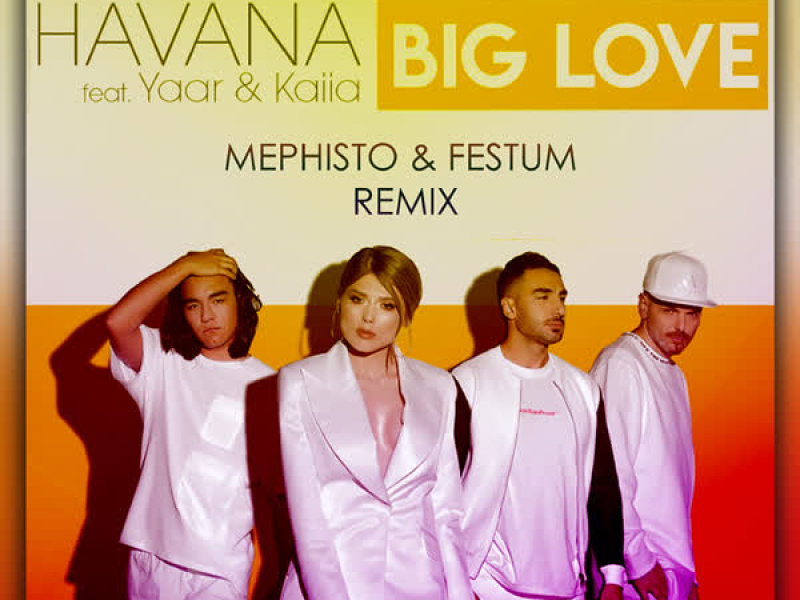 Big Love (DJ Mephisto & Festum Music Remix) (Single)