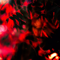 yea, i disappeared (EP)