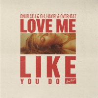 Love Me Like You Do (Single)