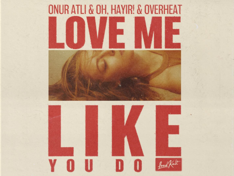 Love Me Like You Do (Single)