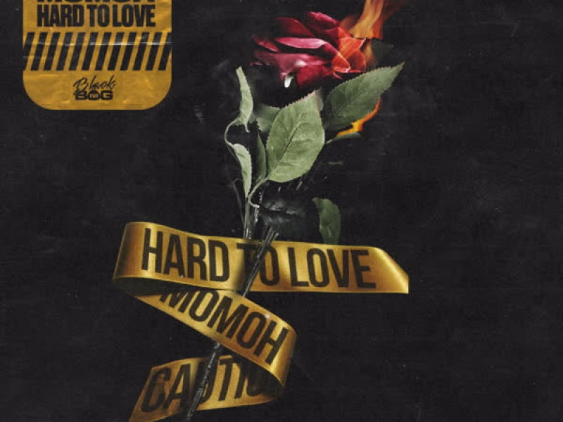 Hard to Love (Single)