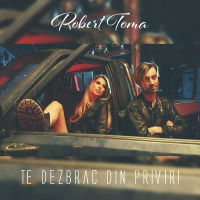 Te dezbrac din priviri (Single)