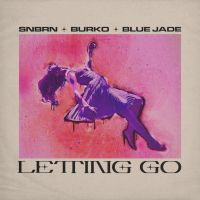 Letting Go (Single)