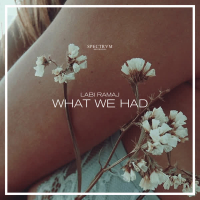 What We Had (Single)