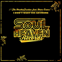 I Don't Want You Anymore (Single)