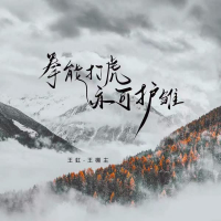 拳能打虎亦可护雏 (Single)