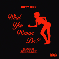 What You Wanna Do? (Single)