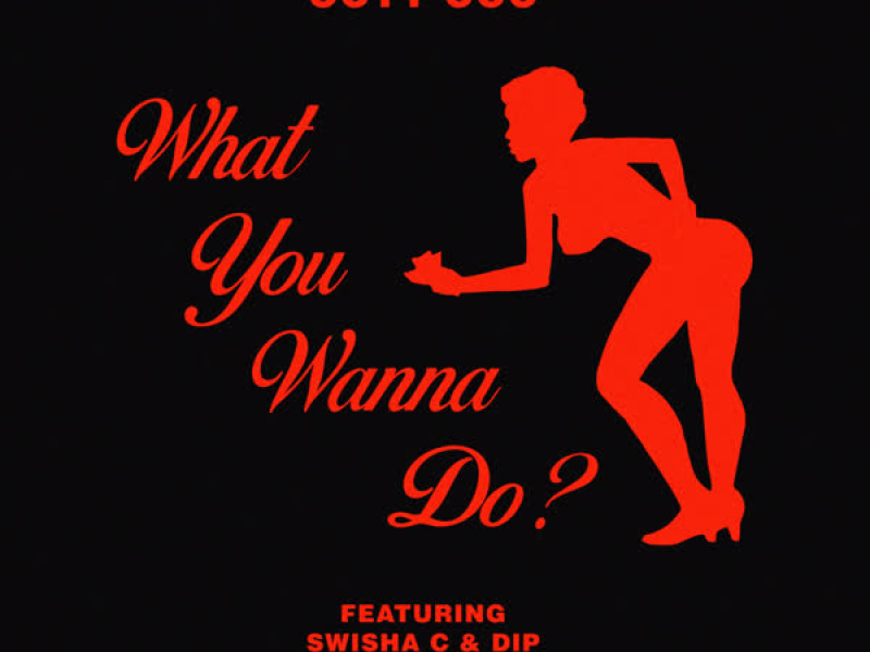 What You Wanna Do? (Single)