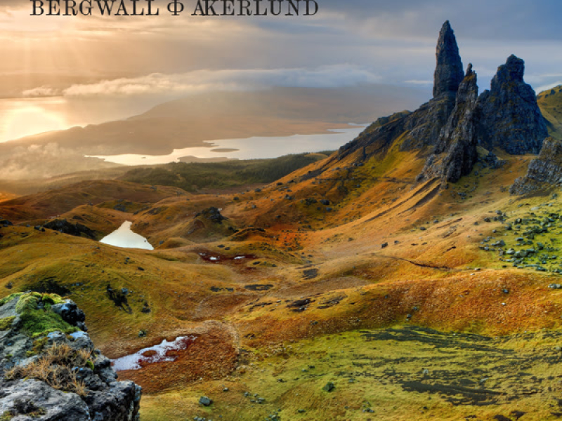 Born To Be Brave (Single)