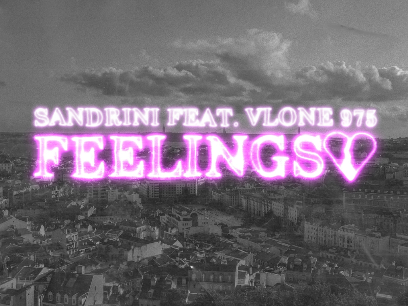 Feelings
