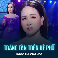 Trăng Tàn Trên Hè Phố (Single)