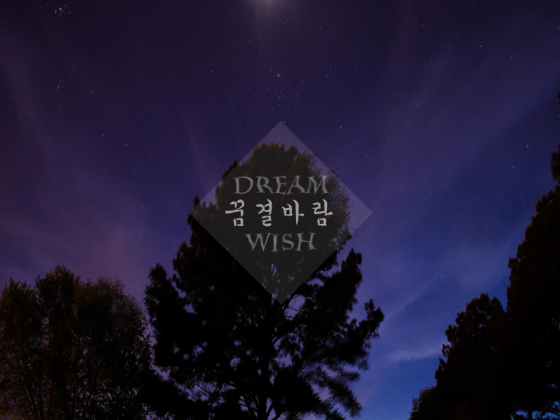 Dream Wish (Single)