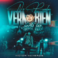 No Pueden Verme Bien (Single)