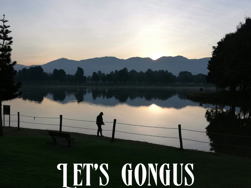 Let's Gongus (Single)