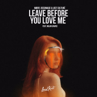 Leave Before You Love (Single)