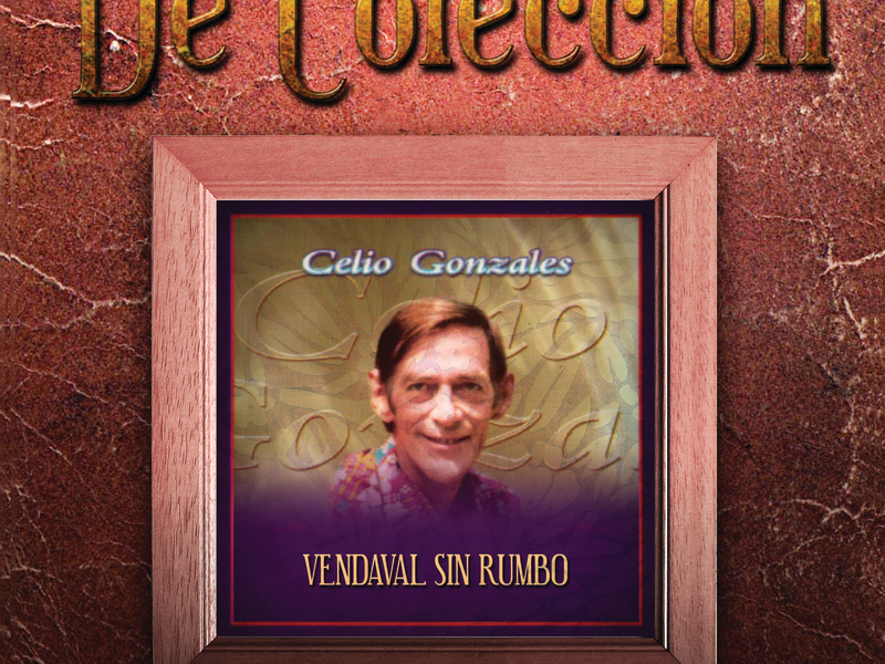 Vendaval Sin Rumbo (De Coleccíon)