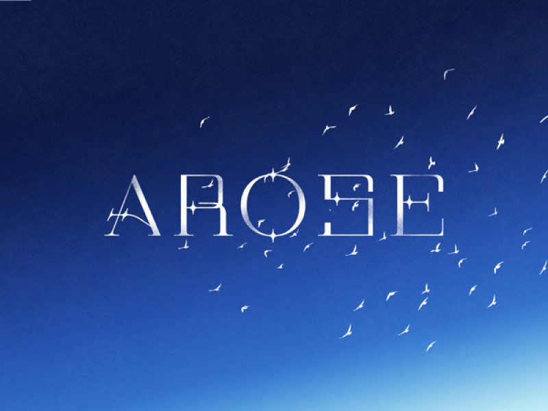 AROSE (Single)