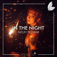 In the Night (Single)