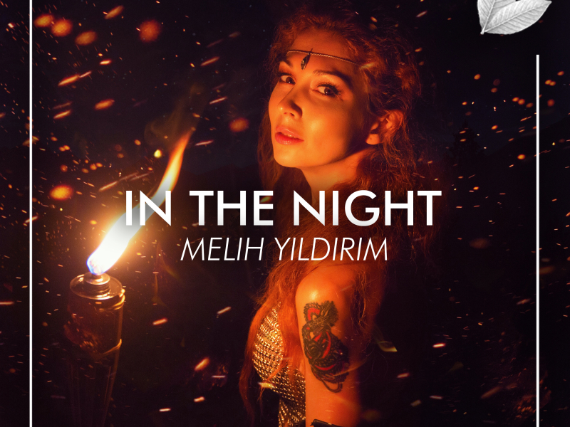 In the Night (Single)