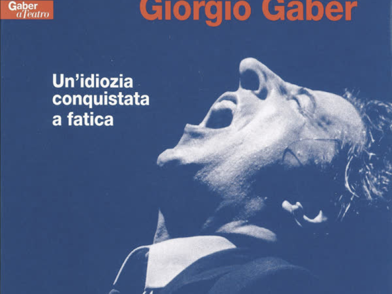 Un'idiozia conquistata a fatica