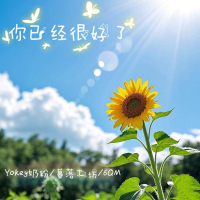 你已经很好了 (Single)