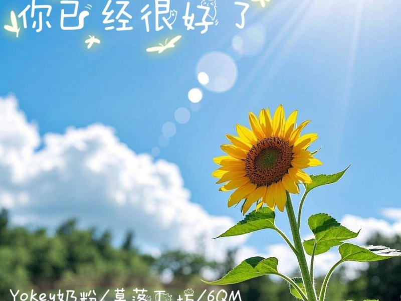 你已经很好了 (Single)