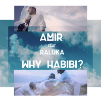 Why Habibi? (Single)