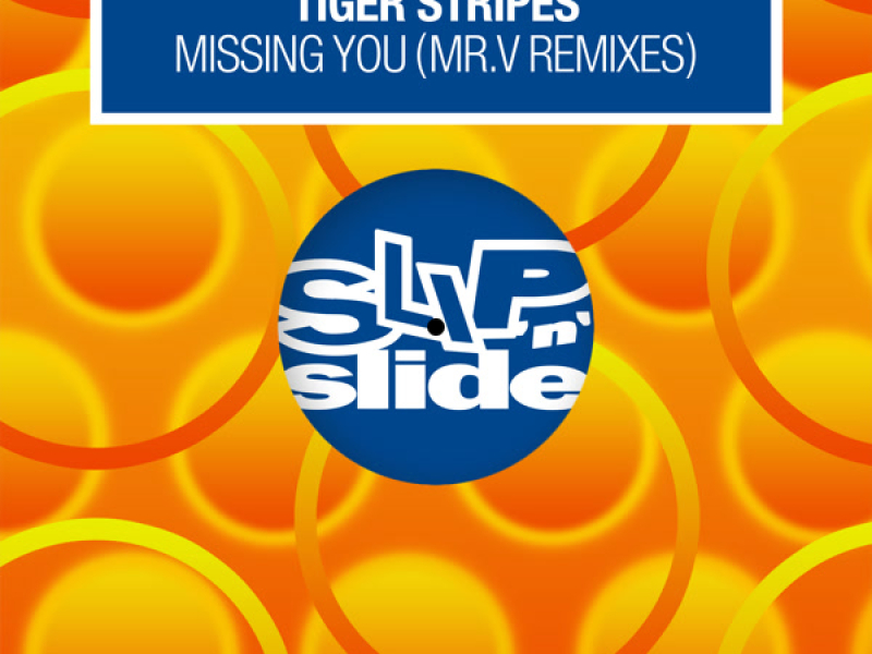 Missing You (Mr. V Remixes) (Single)