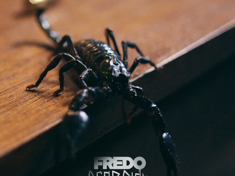 Scorpion (Single)