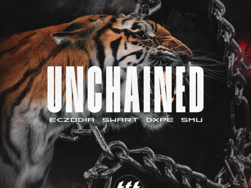 Unknown Disaster (Single)