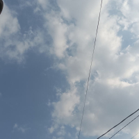 Alone forever (Single)