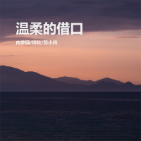 温柔的借口 (Single)