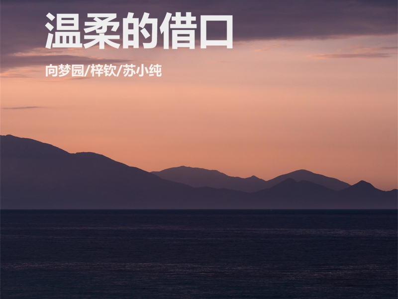 温柔的借口 (Single)