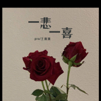 一悲一喜 (Single)