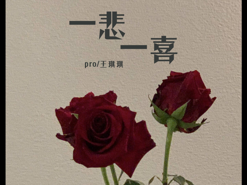 一悲一喜 (Single)
