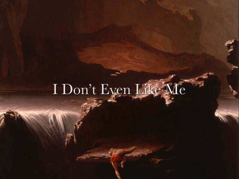 I Don't Even Like Me - Live from The Pit of Despair (Single)