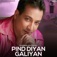 Pind Diyan Galiyan - Single