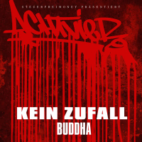 Kein Zufall (Single)