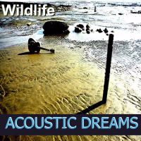 Acoustic Dreams