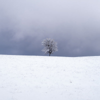 Má duše neumírá (Demo) (Single)