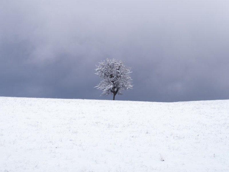 Má duše neumírá (Demo) (Single)